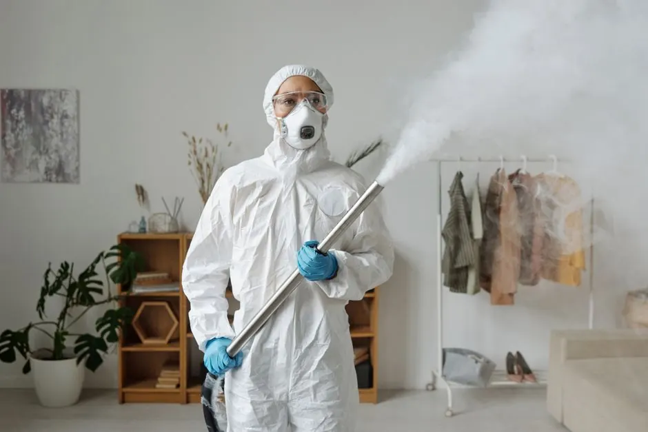 Cleaning of a Hoarding Situation Post-Inheritance